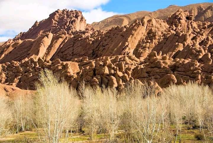 ホテル Kasbah Ait Arbi Ait Ougliff エクステリア 写真