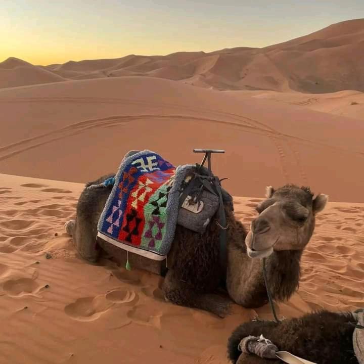 ホテル Kasbah Ait Arbi Ait Ougliff エクステリア 写真