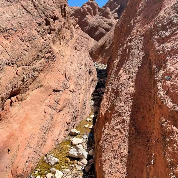 ホテル Kasbah Ait Arbi Ait Ougliff エクステリア 写真